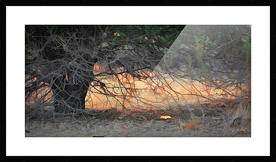 Haunted Forest Picture Frame print