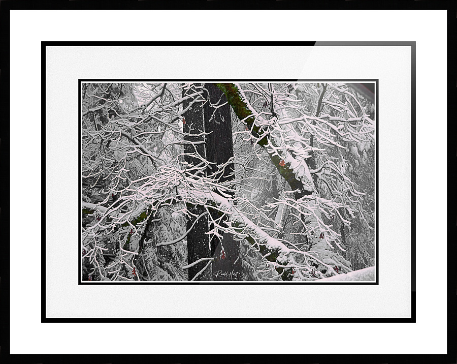 Ice Cold Picture Frame print