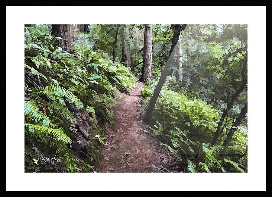 kjarfernpath Picture Frame print