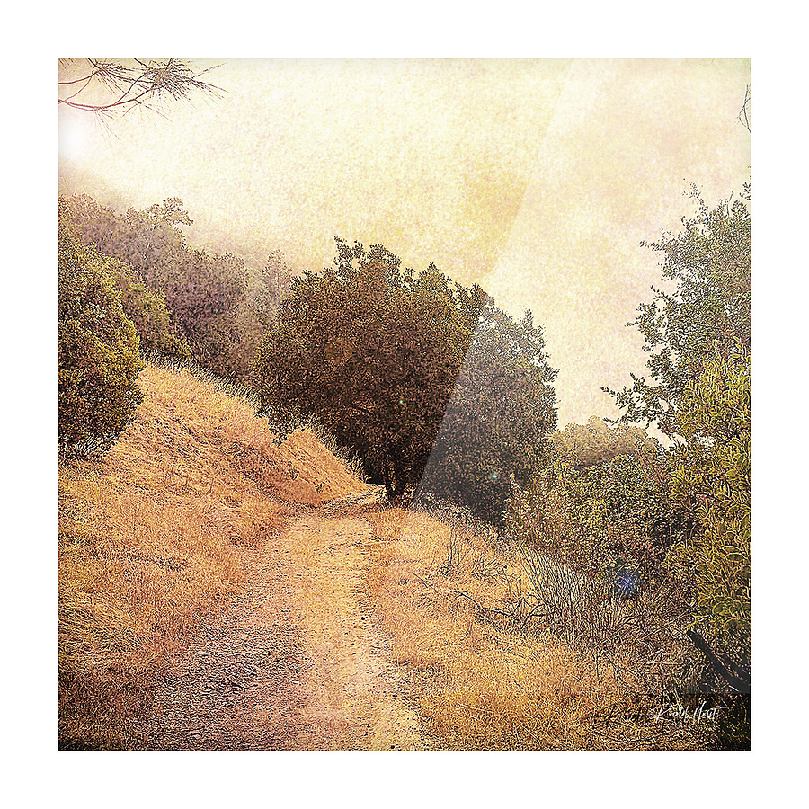 Smokey Trail Picture Frame print