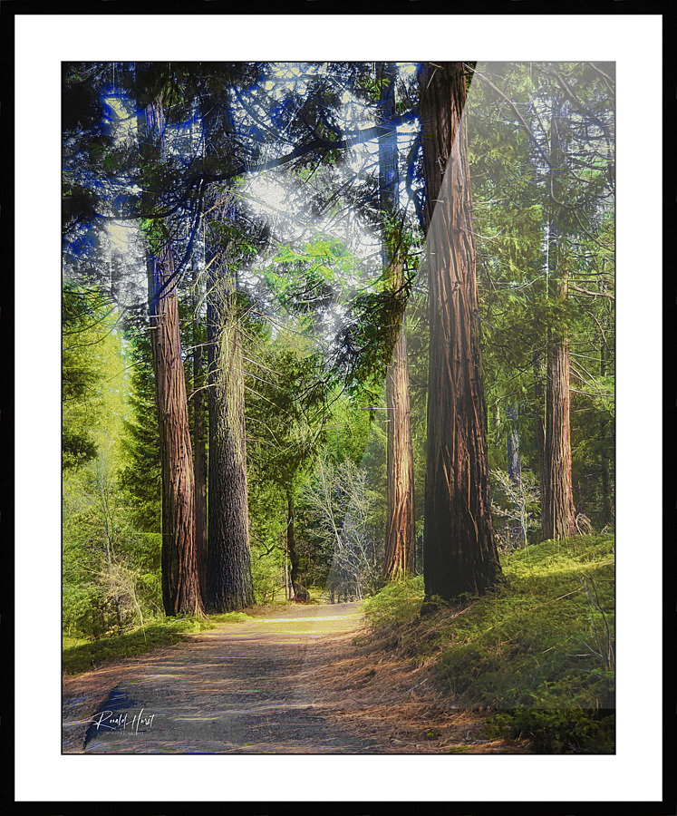 Uphill Path Picture Frame print