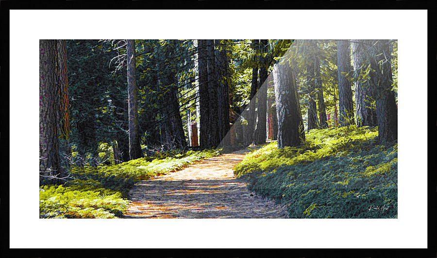 Tranquil Path  Picture Frame print