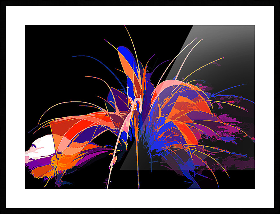 Cosmos Picture Frame print