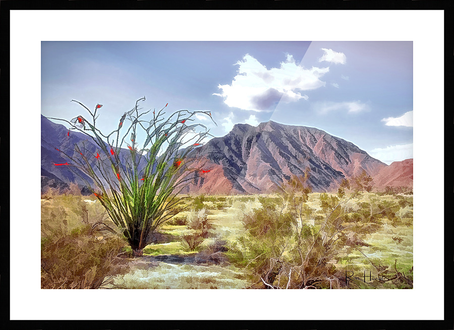 Borrego Picture Frame print