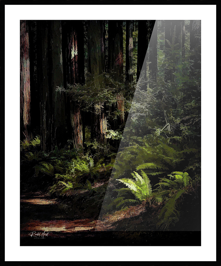 In the spotlight Picture Frame print