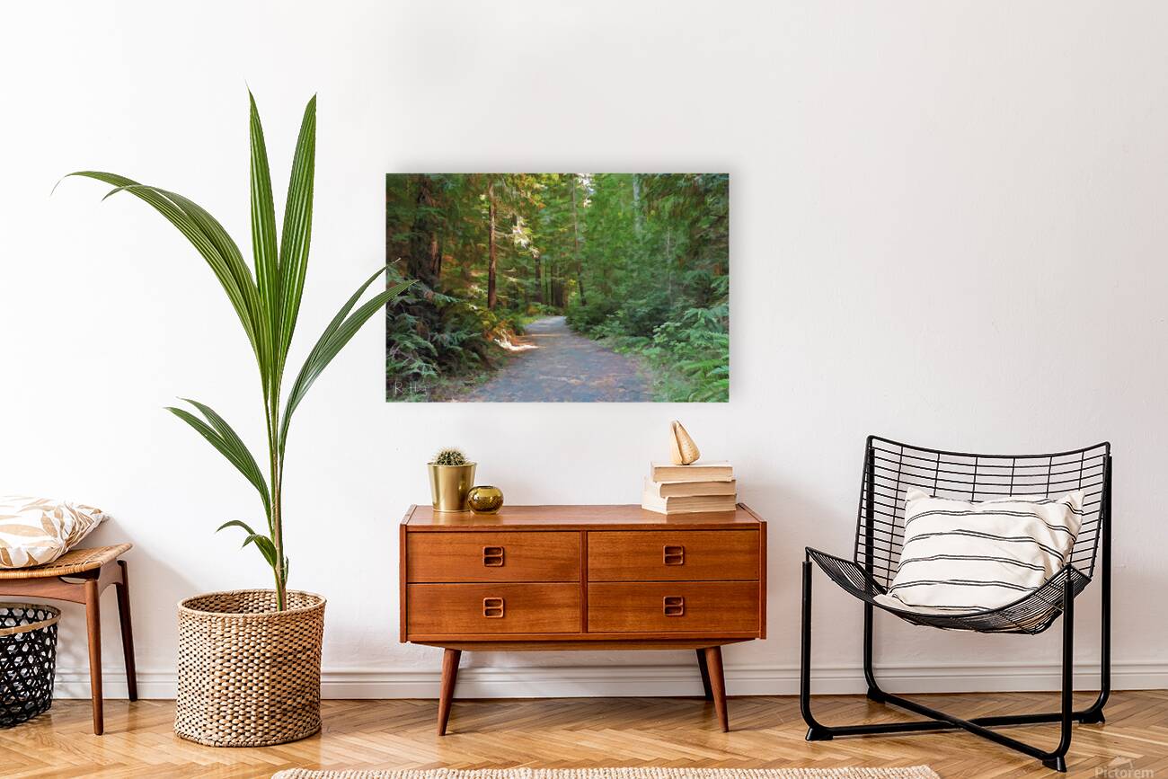 forest path Reproduction