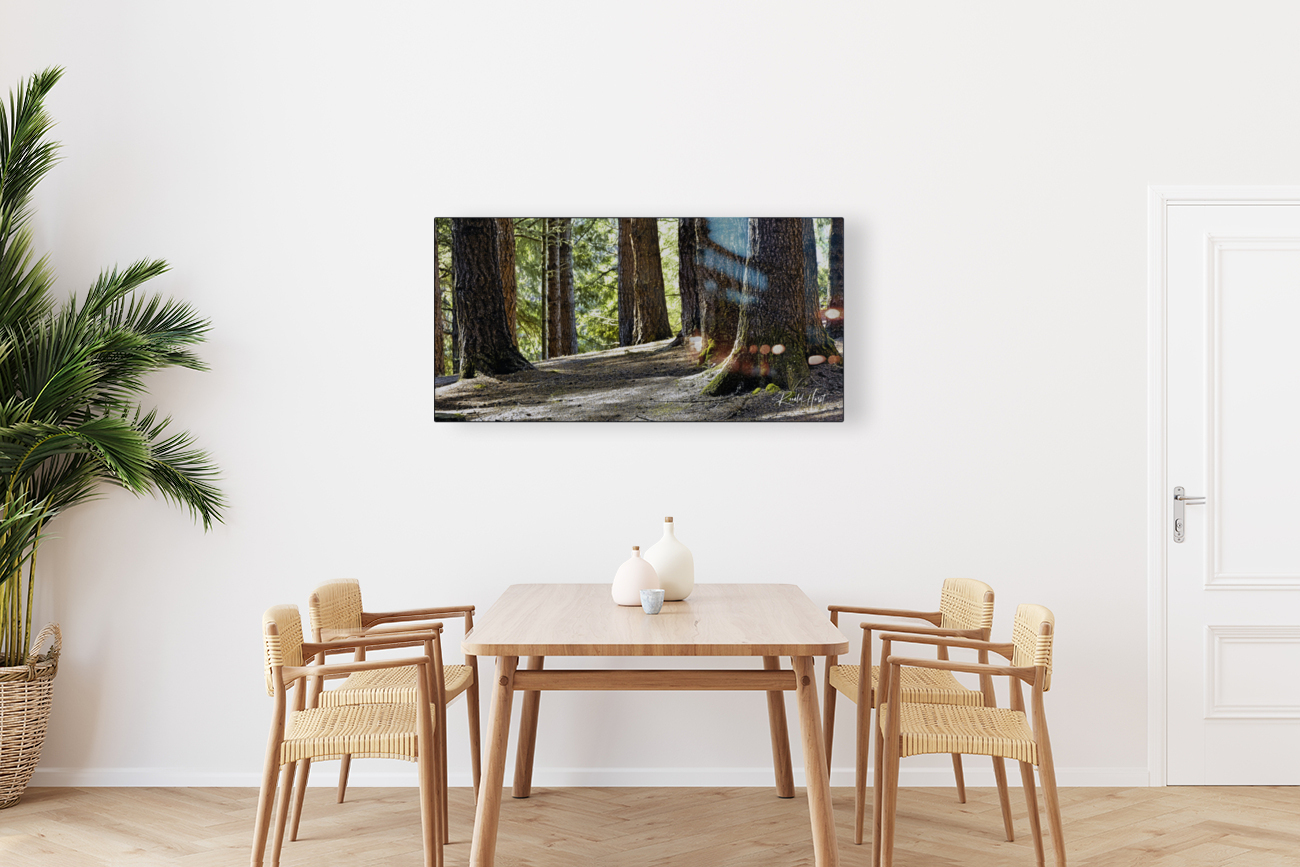Coastal Forest Reproduction