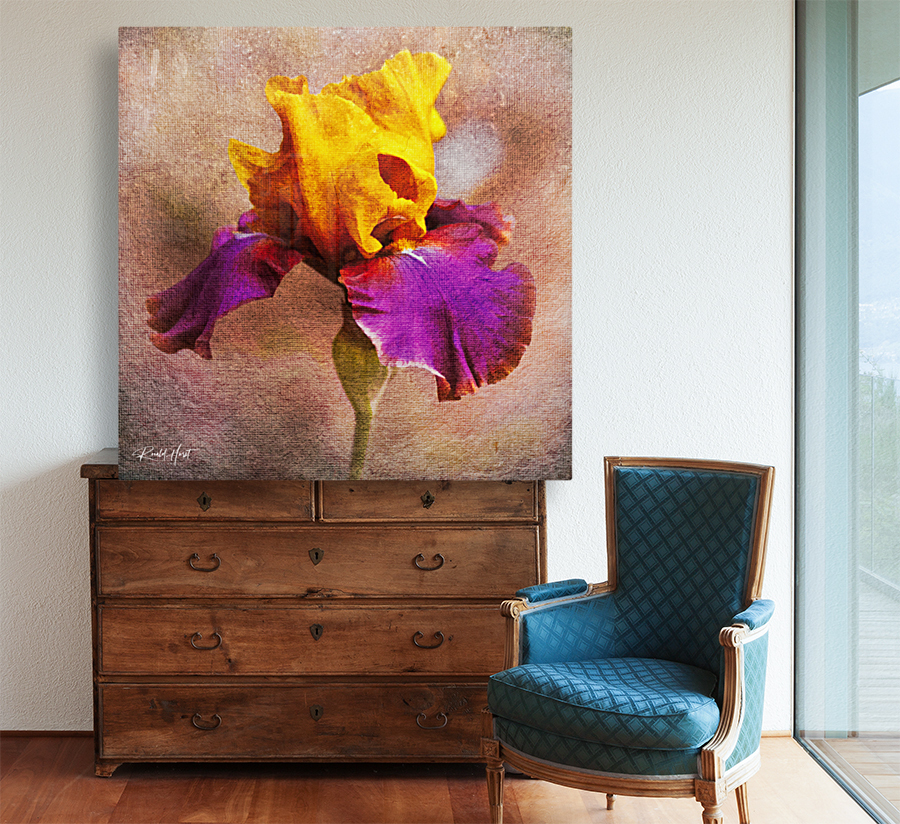 Last Bloom on Canvas Reproduction