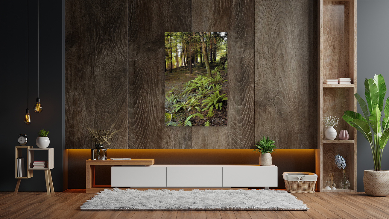 Ferns and Forest Reproduction