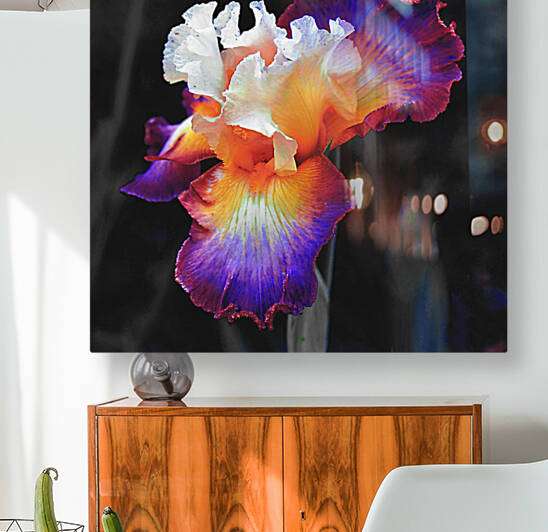 Iris Reproduction