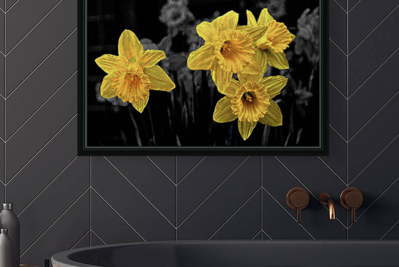 Spring Promise Reproduction