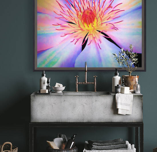 Rainbow Blossom Reproduction