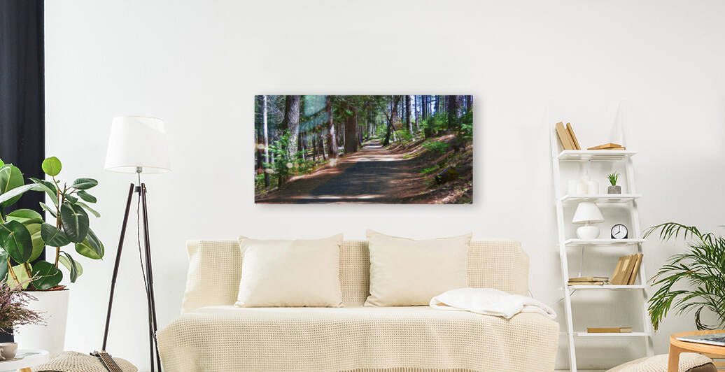 Cedar Trail wide Reproduction