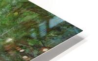 forest path HD Metal print