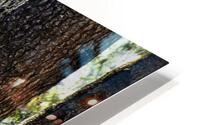 Coastal Forest HD Metal print