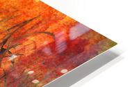 Grass Fire HD Metal print