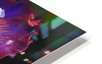 Iris HD Metal print