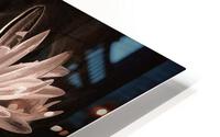 Moonlight Blossoms HD Metal print
