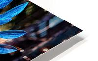 Whirly HD Metal print