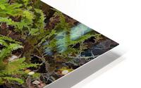 Ferns HD Metal print