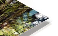 Ferns and Forest HD Metal print