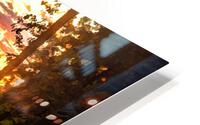 Forebay HD Metal print