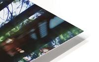 Forest Dream HD Metal print