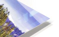 Full Lake HD Metal print