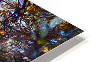 Forest Light HD Metal print