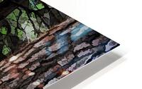 Hikers Trail Painted HD Metal print