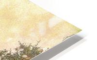 Smokey Trail HD Metal print