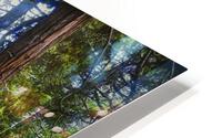 Uphill Path HD Metal print