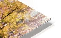 Trail Head HD Metal print