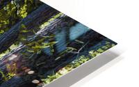 Tranquil Path  HD Metal print