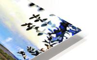 Vines Wide HD Metal print