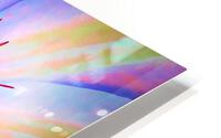 Rainbow Blossom HD Metal print