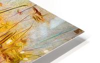 Whimsical HD Metal print