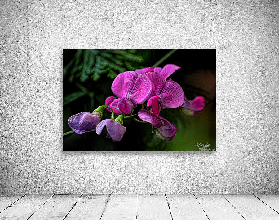 Wild Sweetpea rendered Wall Preview