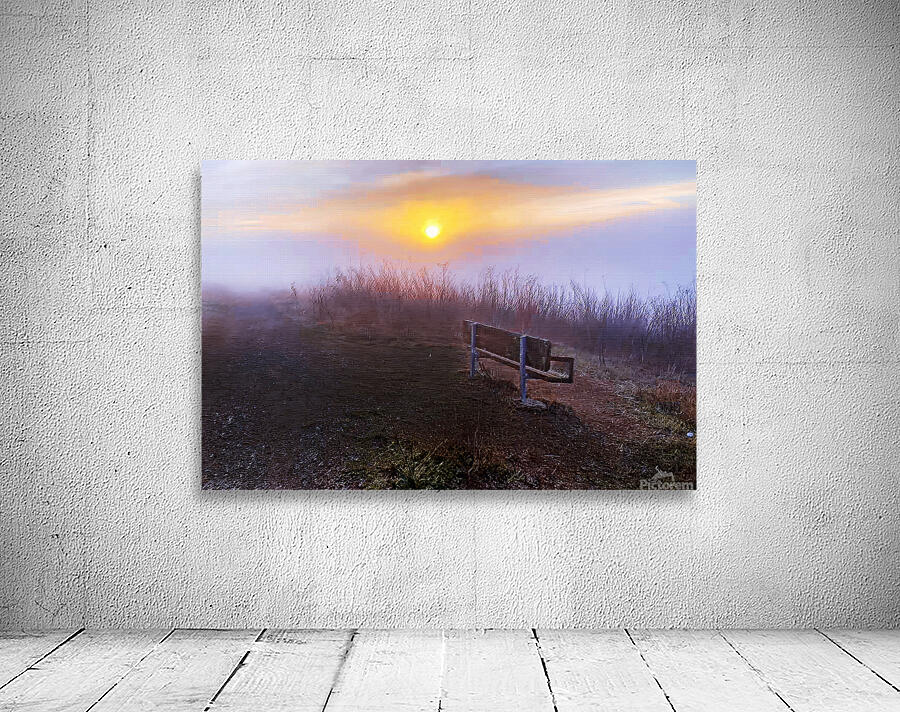 The Bench Wall Preview