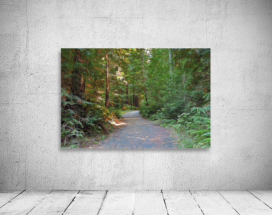 forest path Wall Preview
