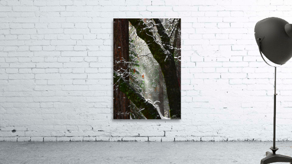 Blown Snow Wall Preview