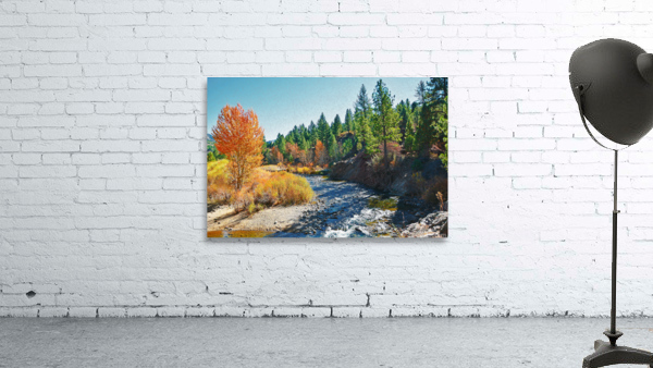 Carson River Wall Preview