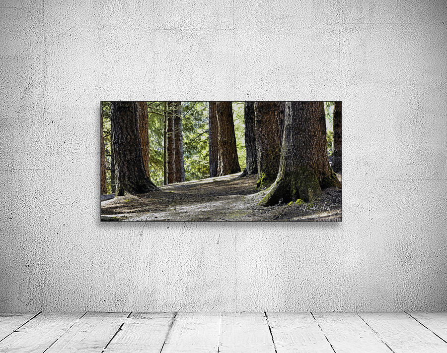 Coastal Forest Wall Preview