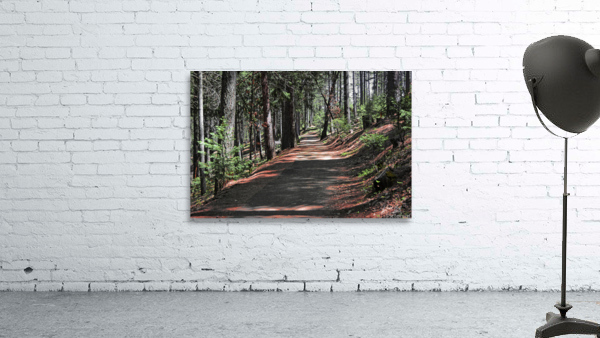 Cedar Trail Wall Preview