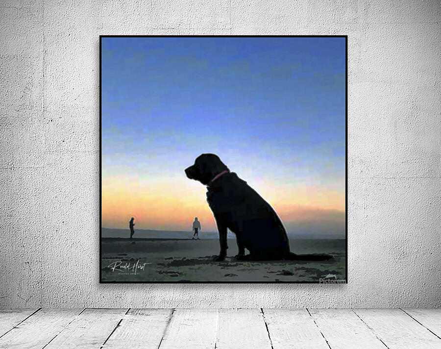 Dog Sunset Wall Preview