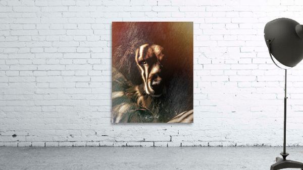 Golden Gaze Wall Preview