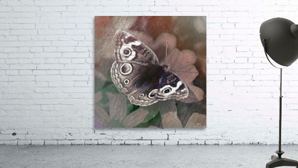Butterfly Wall Preview