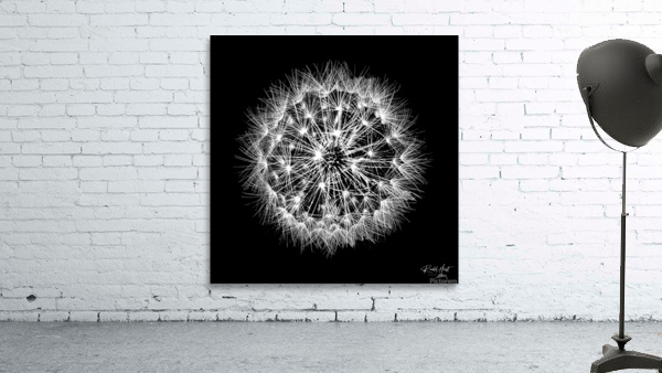 Delicate explosion Wall Preview