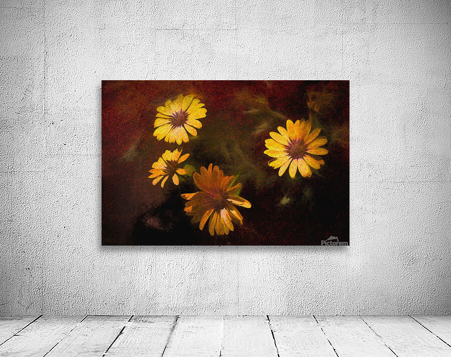 Crazy Daisies Wall Preview