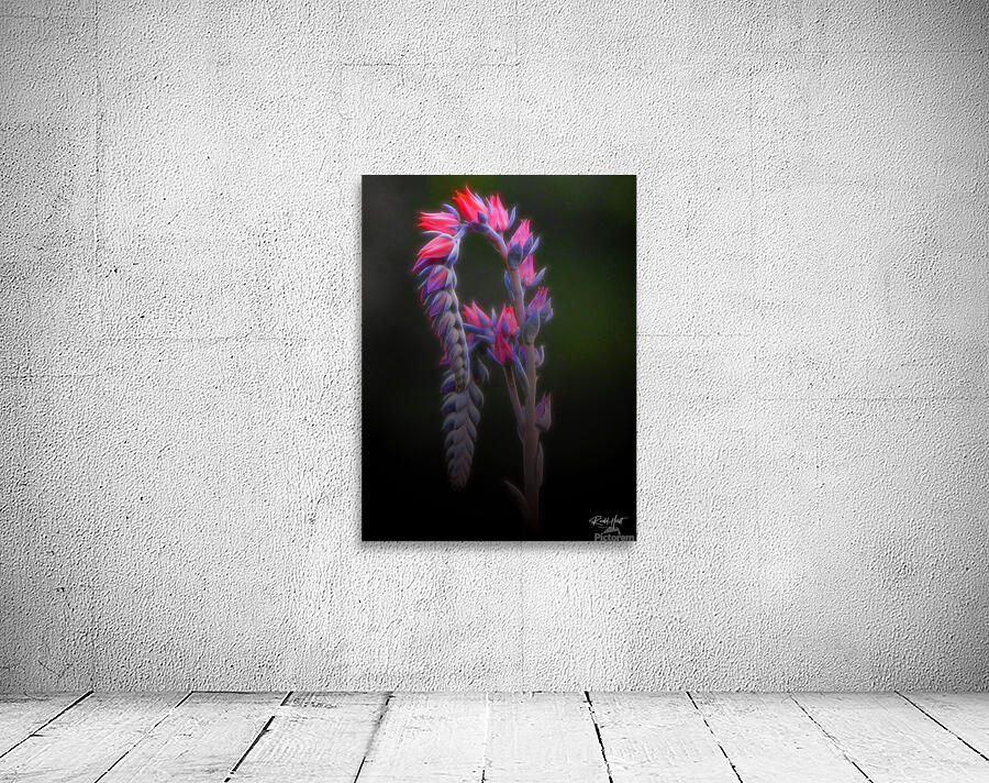 Graceful Wall Preview